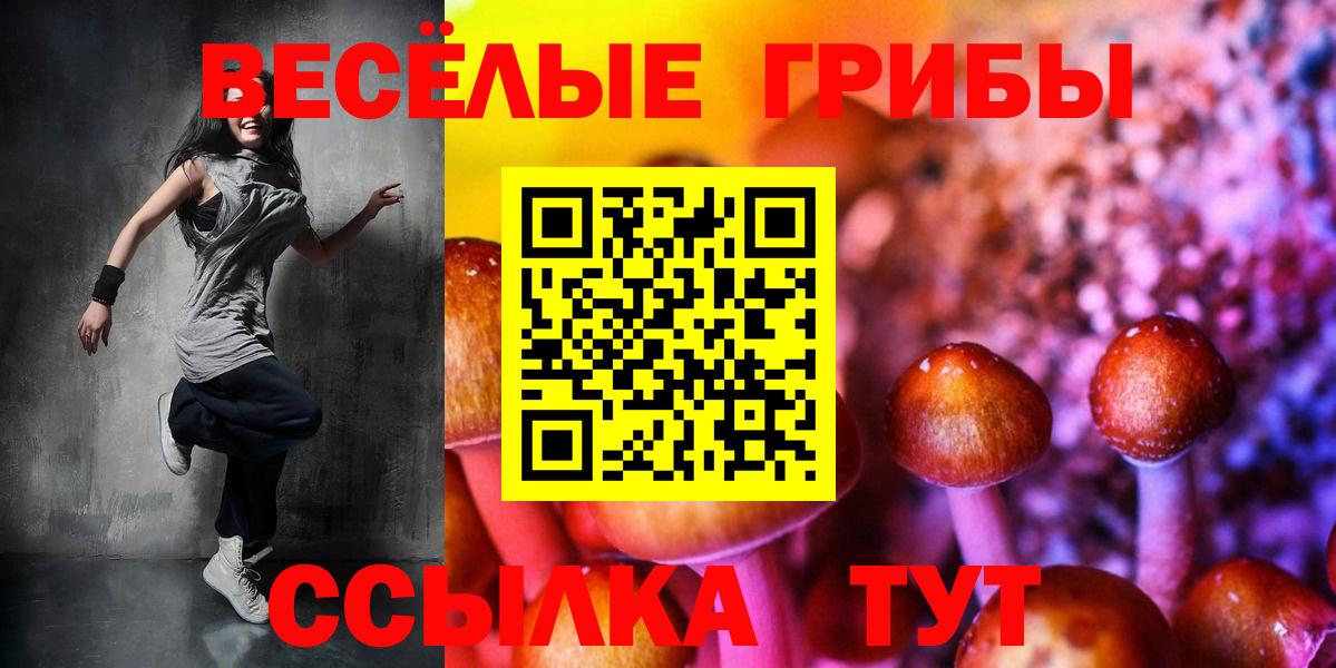 Галлюциногенные грибы мицелий Брянск